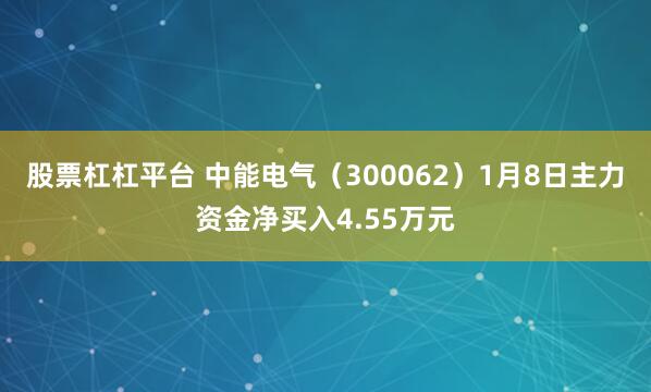 股票杠杠平台 中能电气（300062）1月8日主力资金净买入4.55万元