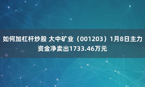 如何加杠杆炒股 大中矿业（001203）1月8日主力资金净卖出1733.46万元