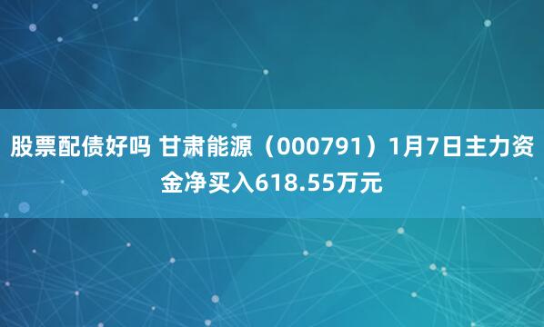 股票配债好吗 甘肃能源（000791）1月7日主力资金净买入618.55万元