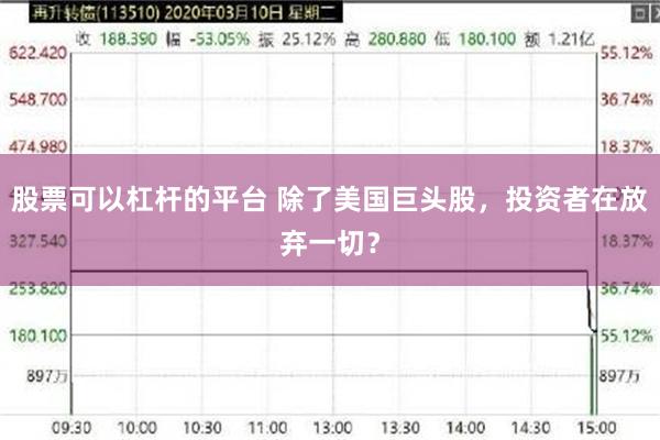 股票可以杠杆的平台 除了美国巨头股，投资者在放弃一切？