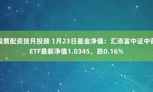 股票配资按月投顾 1月23日基金净值：汇添富中证中药ETF最新净值1.0345，跌0.16%