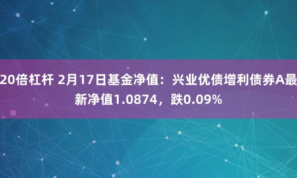 20倍杠杆 2月17日基金净值：兴业优债增利债券A最新净值1.0874，跌0.09%