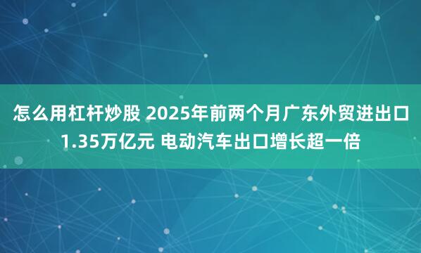 怎么用杠杆炒股 2025年前两个月广东外贸进出口1.35万亿元 电动汽车出口增长超一倍